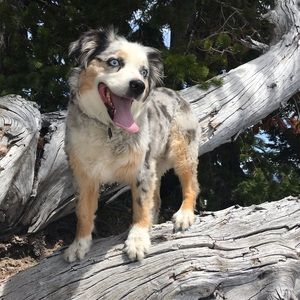 Meet your Posher, Felicia